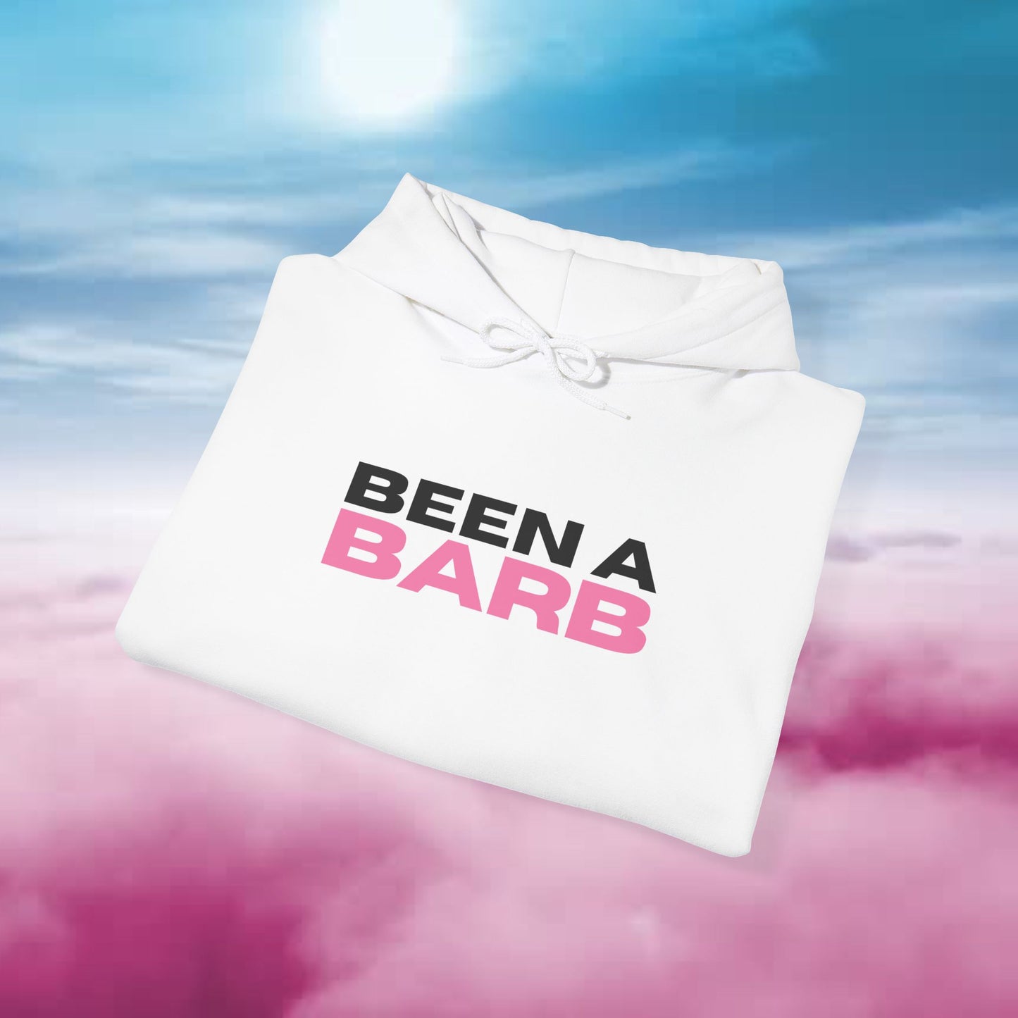 BEEN A BARB HOODIE